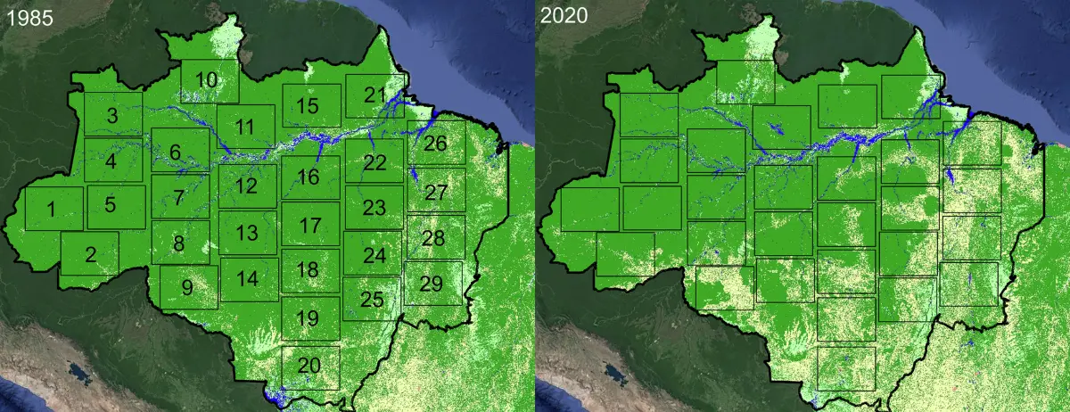 Forest cover in the Brazilian Legal Amazon in 1985 and 2020